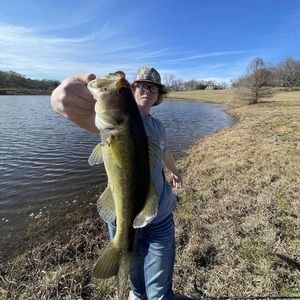 Meet your Posher, Shane